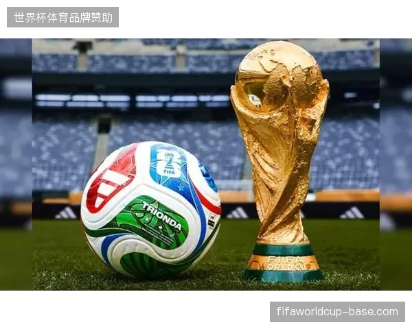2026年世界杯跨国运营挑战预判，标准化资产管理标准或成为后续赛事的竞标红线